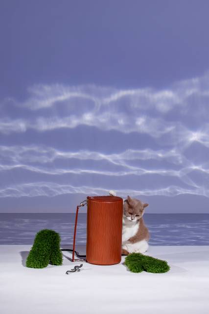 Loki meets Louis Vuitton