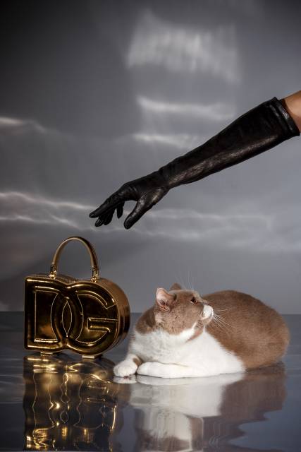 Loki meets Dolce & Gabbana