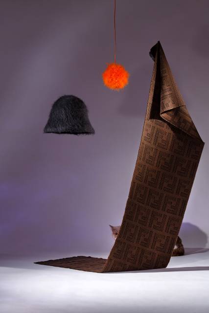 Loki meets Dior & Fendi