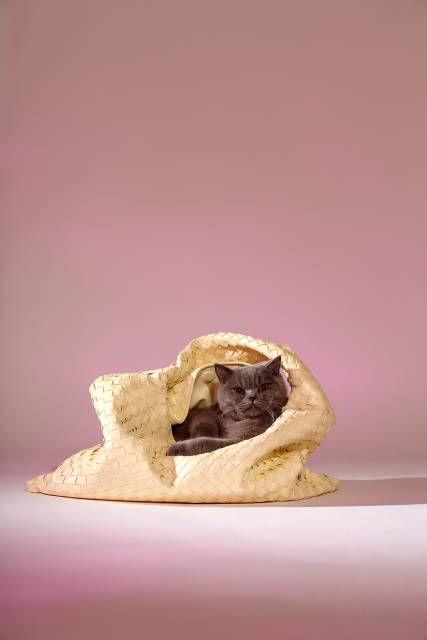 Thor meets Bottega Veneta